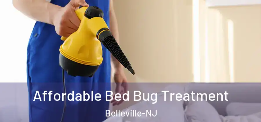  Affordable Bed Bug Treatment Belleville-NJ