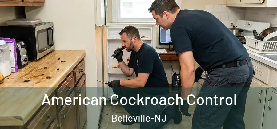  American Cockroach Control Belleville-NJ