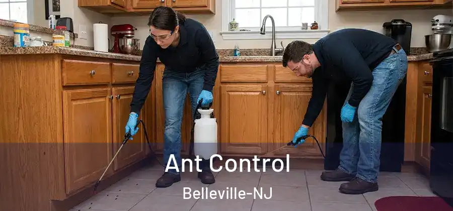  Ant Control Belleville-NJ