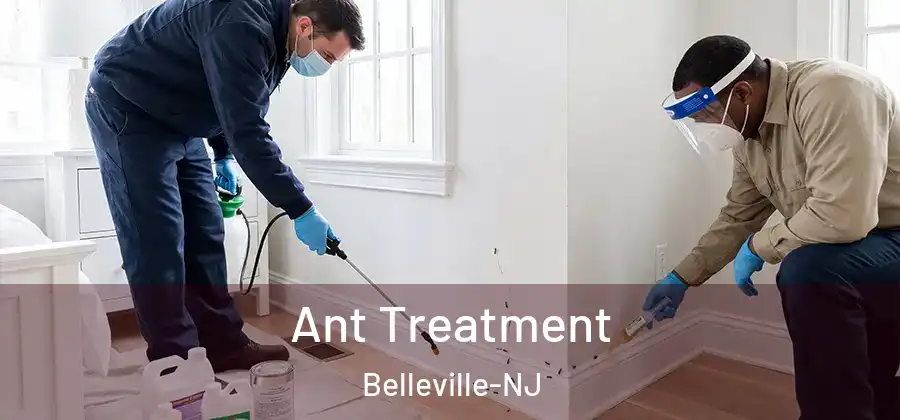  Ant Treatment Belleville-NJ