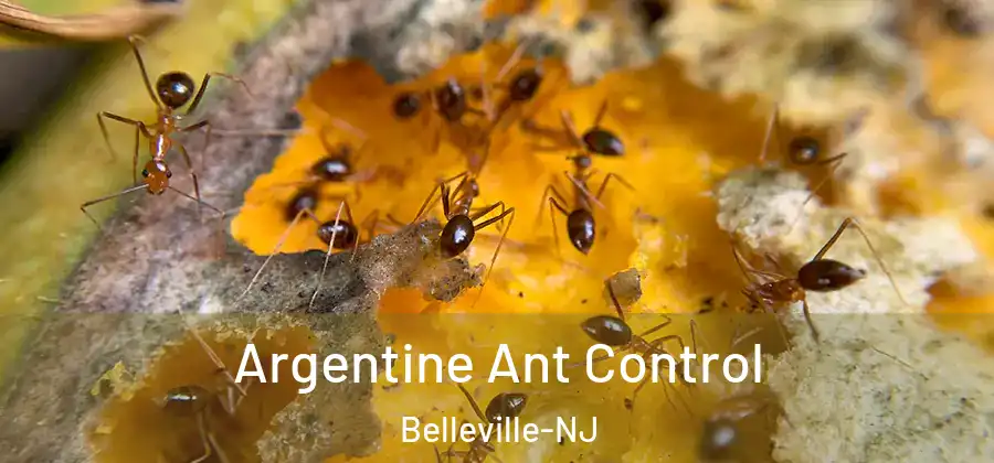  Argentine Ant Control Belleville-NJ