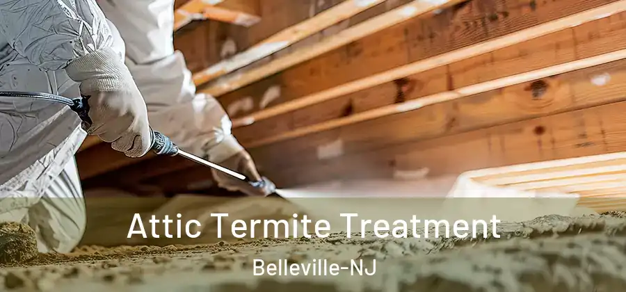  Attic Termite Treatment Belleville-NJ