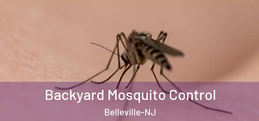  Backyard Mosquito Control Belleville-NJ