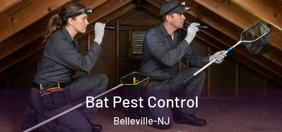  Bat Pest Control Belleville-NJ