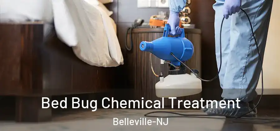  Bed Bug Chemical Treatment Belleville-NJ