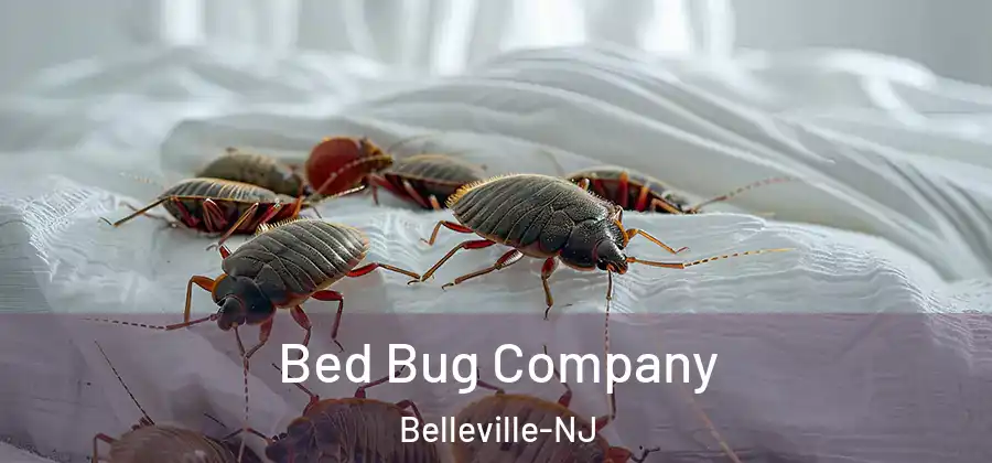  Bed Bug Company Belleville-NJ