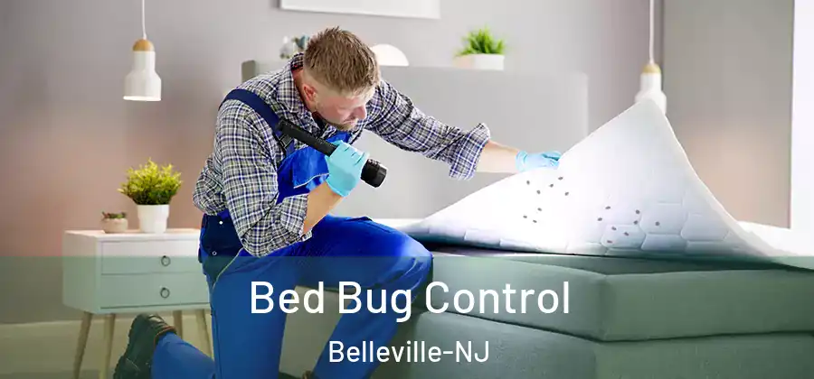  Bed Bug Control Belleville-NJ