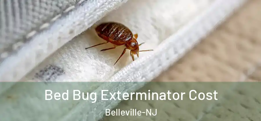  Bed Bug Exterminator Cost Belleville-NJ