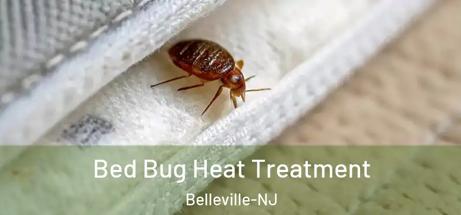  Bed Bug Heat Treatment Belleville-NJ