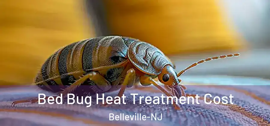 Bed Bug Heat Treatment Cost Belleville-NJ