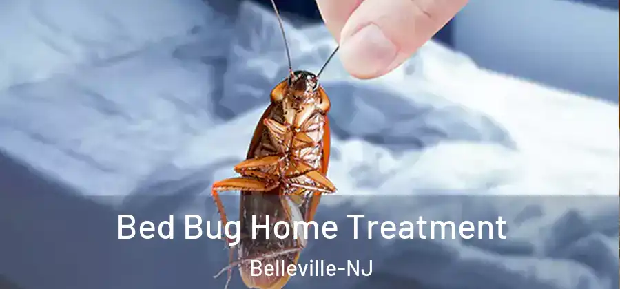 Bed Bug Home Treatment Belleville-NJ