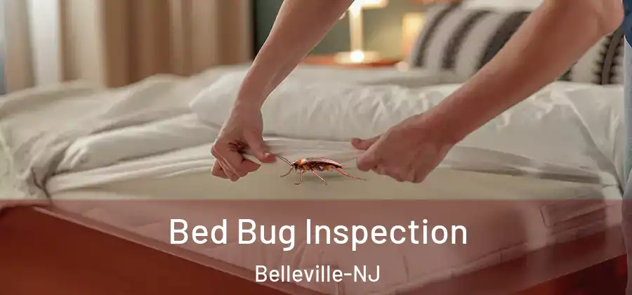 Bed Bug Inspection Belleville-NJ