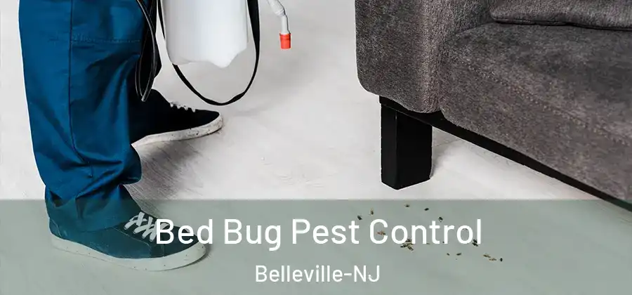  Bed Bug Pest Control Belleville-NJ