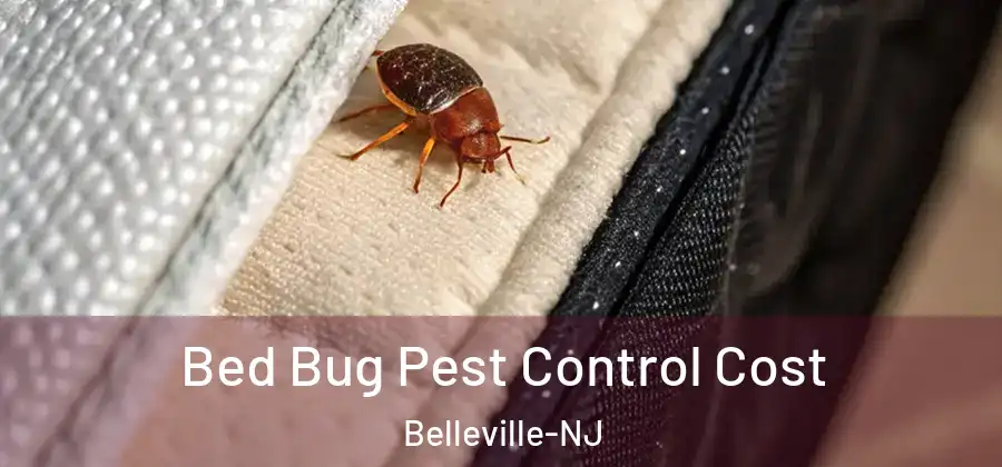  Bed Bug Pest Control Cost Belleville-NJ