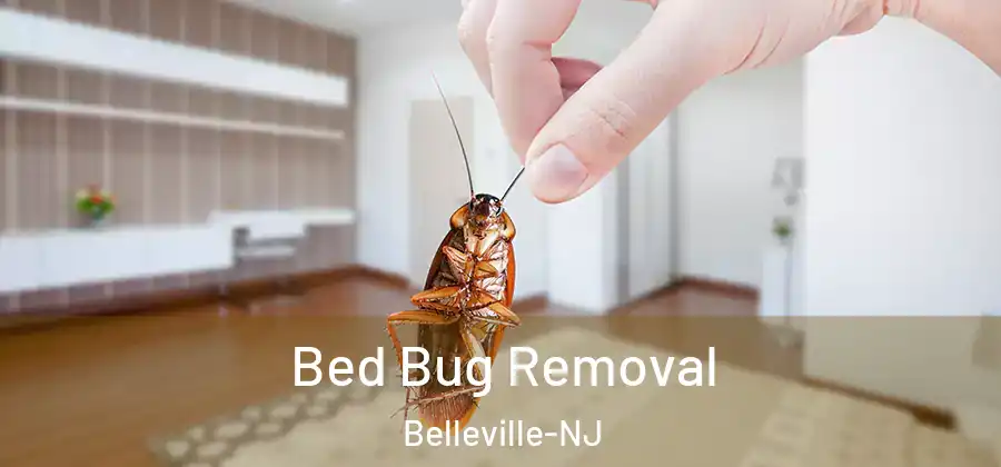  Bed Bug Removal Belleville-NJ