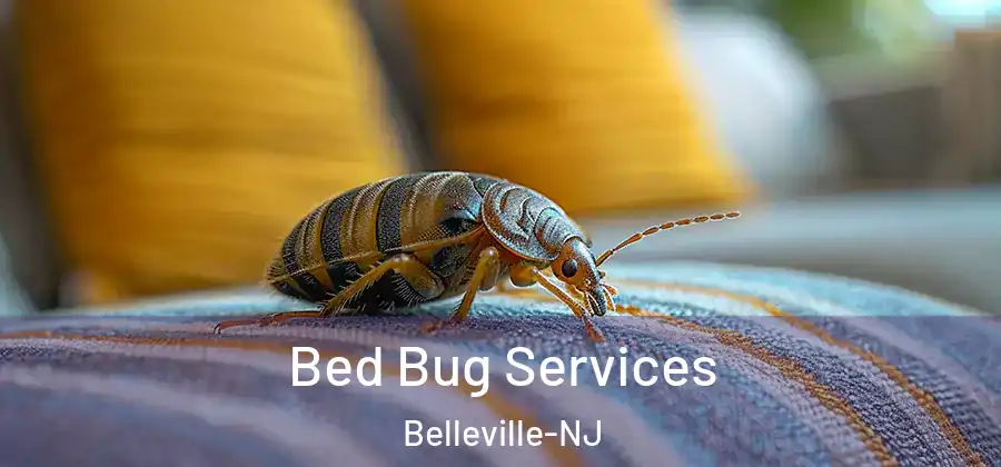  Bed Bug Services Belleville-NJ
