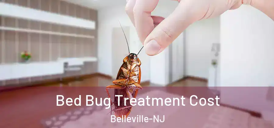  Bed Bug Treatment Cost Belleville-NJ