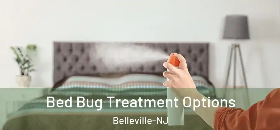  Bed Bug Treatment Options Belleville-NJ