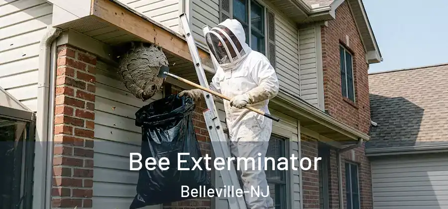  Bee Exterminator Belleville-NJ