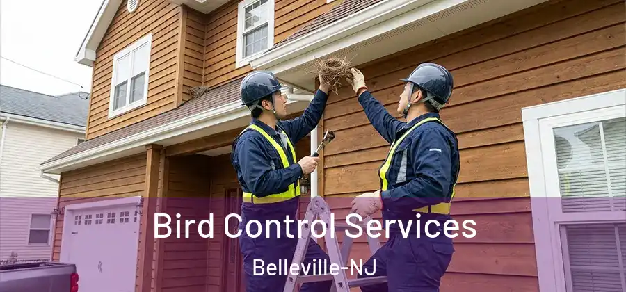  Bird Control Services Belleville-NJ