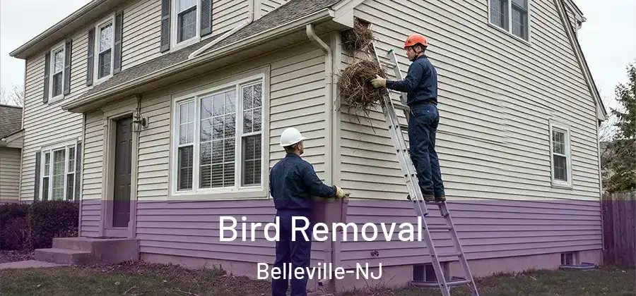  Bird Removal Belleville-NJ