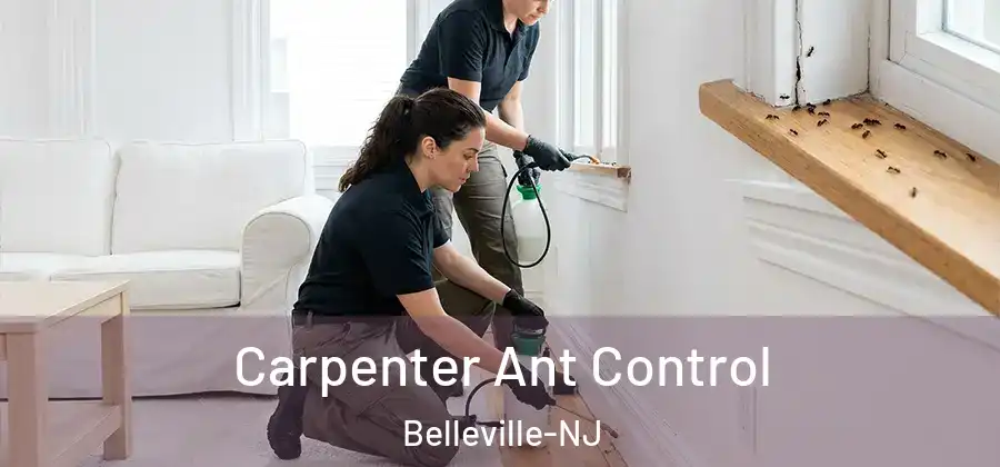  Carpenter Ant Control Belleville-NJ