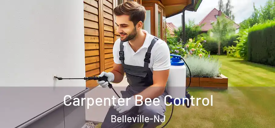  Carpenter Bee Control Belleville-NJ