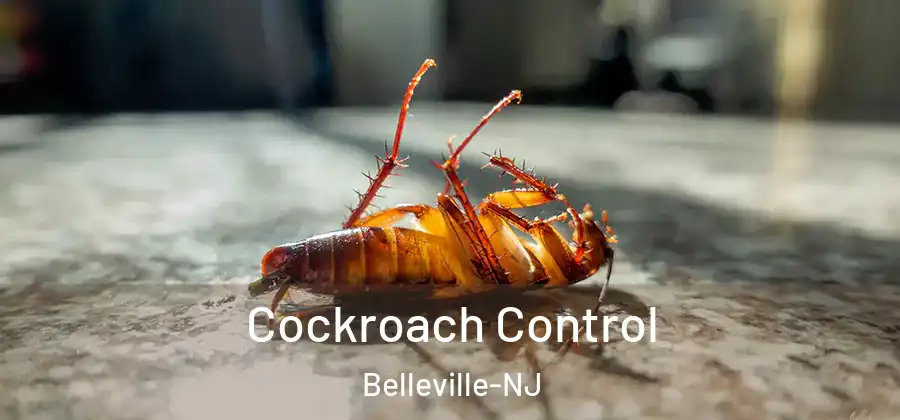 Cockroach Control Belleville-NJ