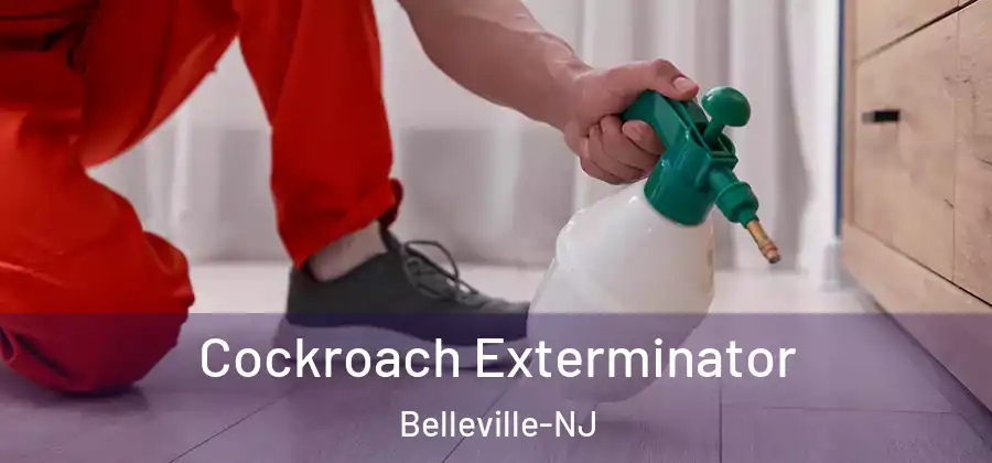  Cockroach Exterminator Belleville-NJ
