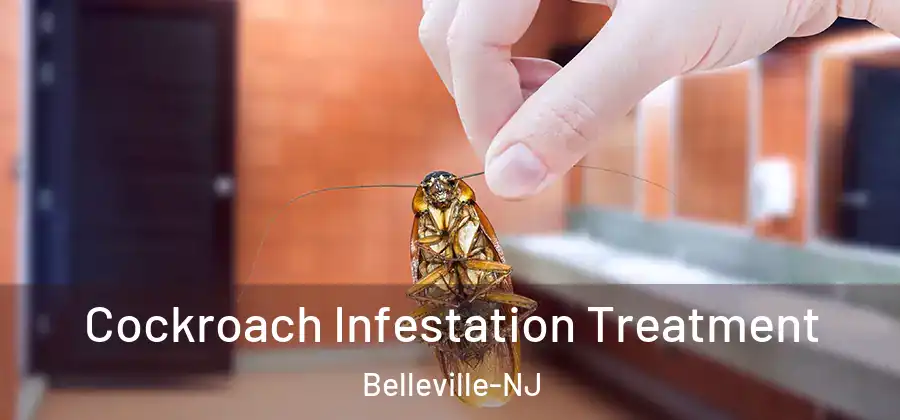  Cockroach Infestation Treatment Belleville-NJ