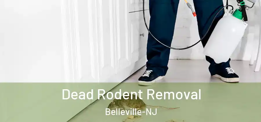  Dead Rodent Removal Belleville-NJ