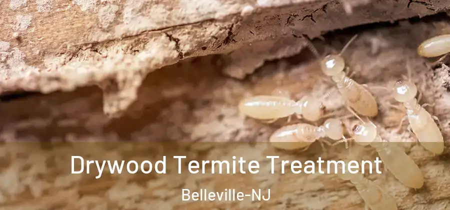  Drywood Termite Treatment Belleville-NJ