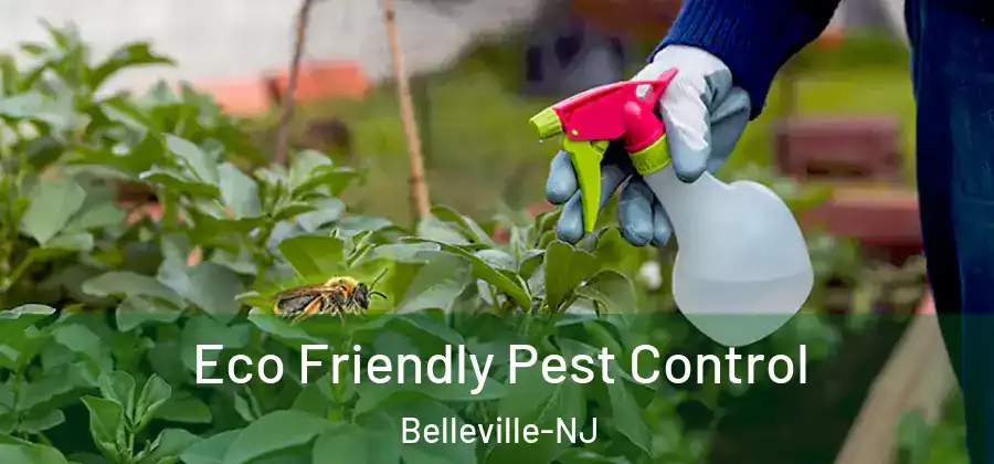  Eco Friendly Pest Control Belleville-NJ