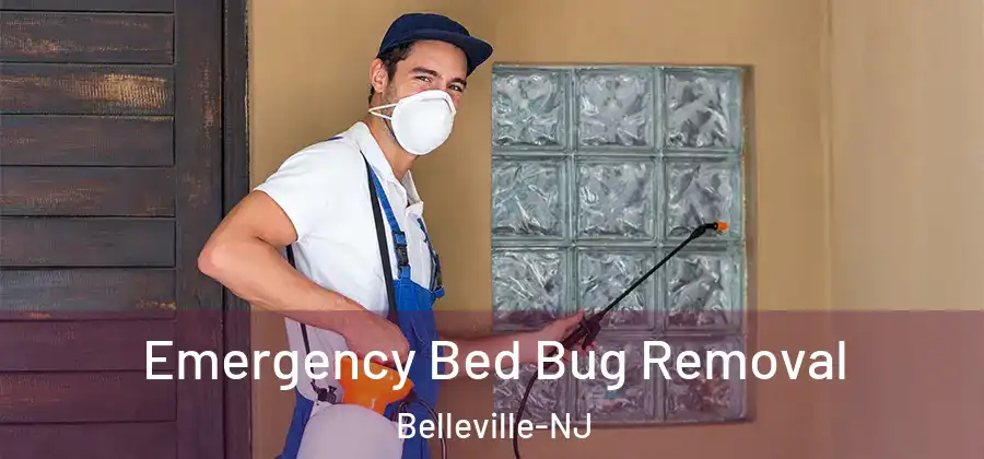 Emergency Bed Bug Removal Belleville-NJ