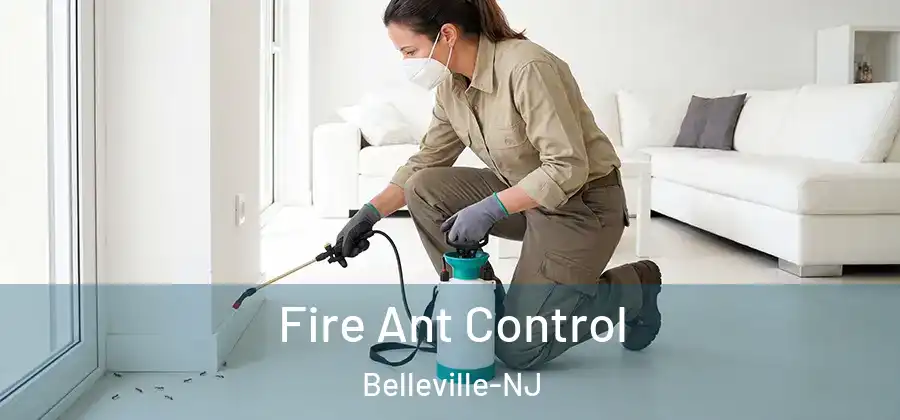  Fire Ant Control Belleville-NJ