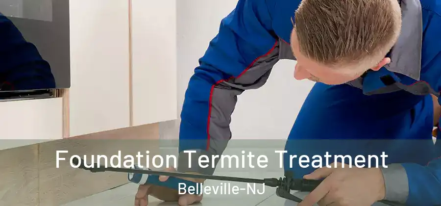  Foundation Termite Treatment Belleville-NJ