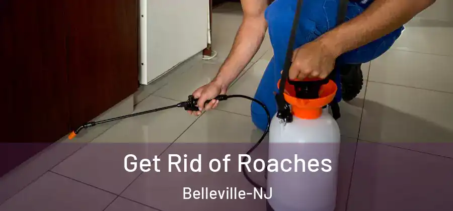 Get Rid of Roaches Belleville-NJ