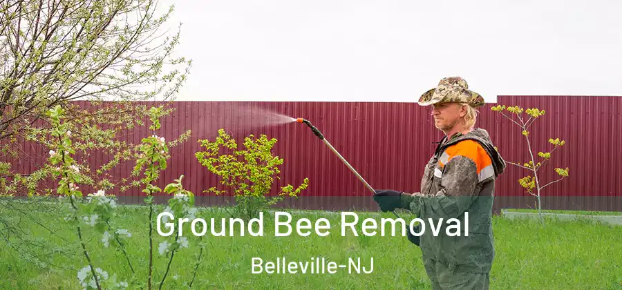  Ground Bee Removal Belleville-NJ