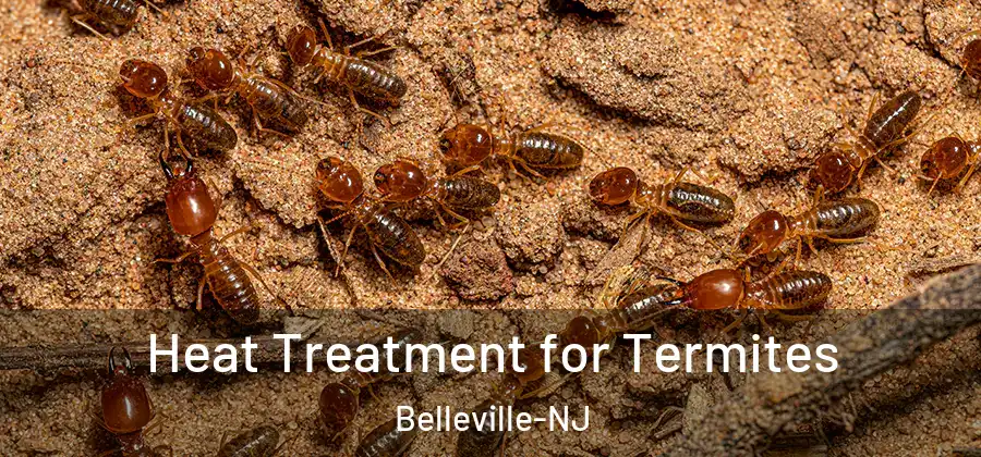  Heat Treatment for Termites Belleville-NJ