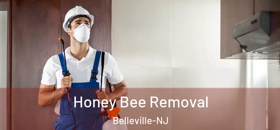  Honey Bee Removal Belleville-NJ
