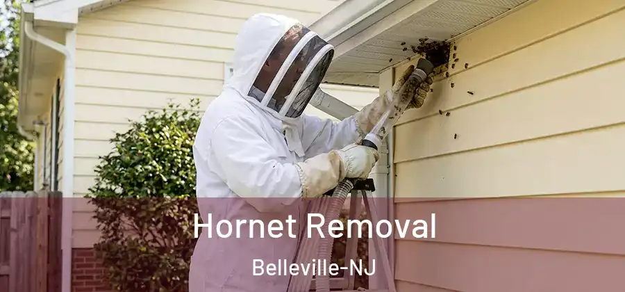  Hornet Removal Belleville-NJ