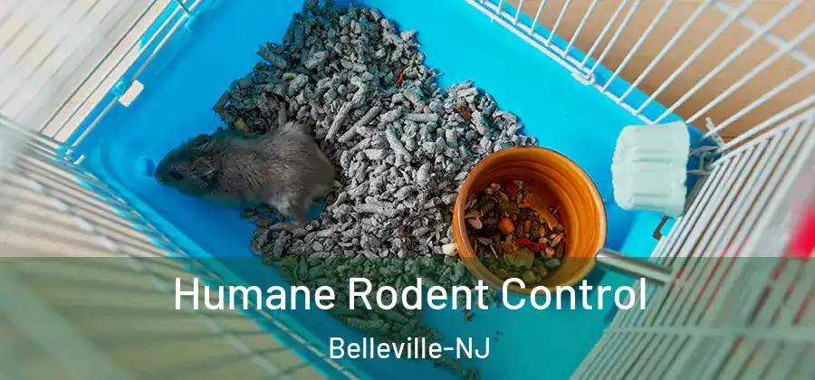  Humane Rodent Control Belleville-NJ