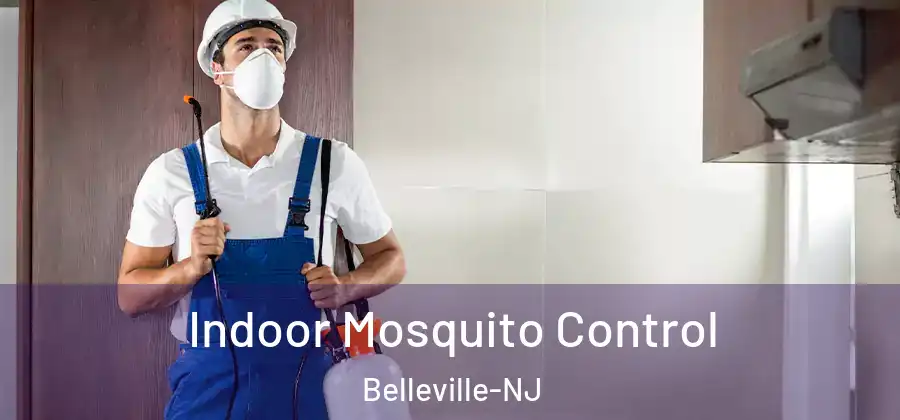 Indoor Mosquito Control Belleville-NJ