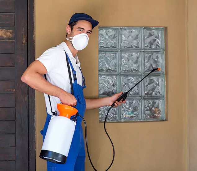 Your Reliable Pest Control in Belleville, NJ
