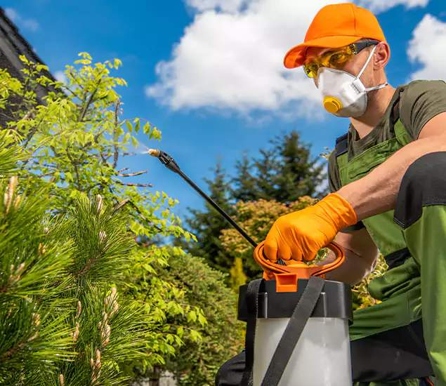 Your Mosquito Repellent Barrier Service in Belleville, NJ