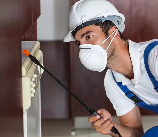 Expert Cockroach Exterminator: Your Roach Control Services in Belleville, NJ