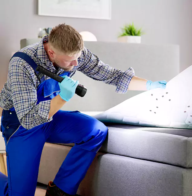Why Choose Belleville Pest Control Pro for Bed Bug Exterminator Cost in Belleville, NJ?