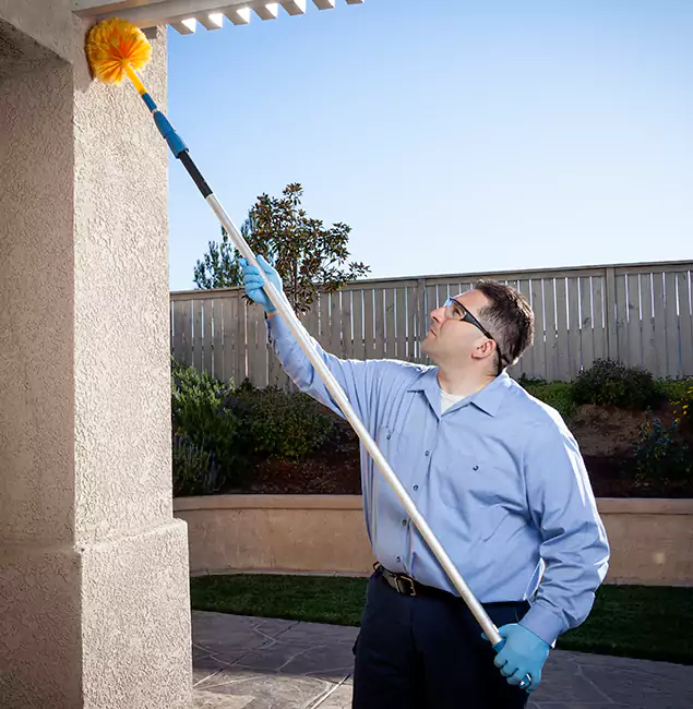 Why Choose Belleville Pest Control Pro for Foundation Termite Treatment in Belleville, NJ?