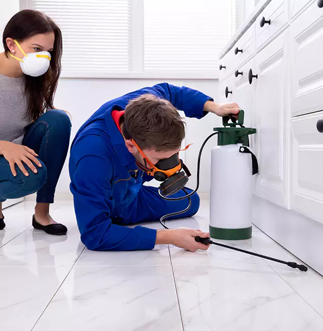 Why Belleville, NJ Homeowners Trust Belleville Pest Control Pro for Roach Control?