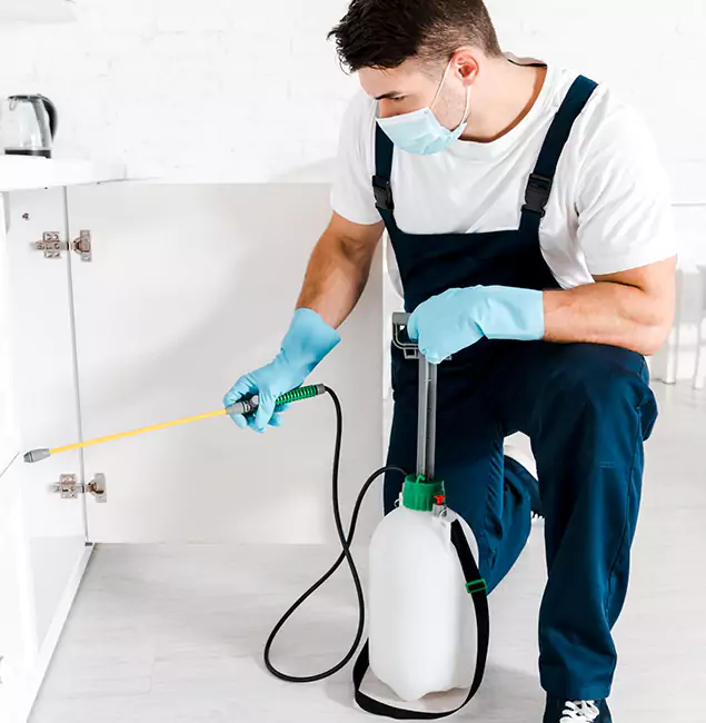 Why Choose Belleville Pest Control Pro for Indoor Pest Control in Belleville, NJ?
